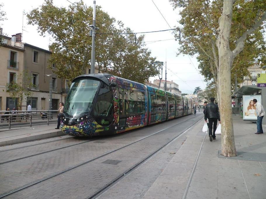 Artistic Loft, Downtown Montpellier, Wifi Apartment Bagian luar foto